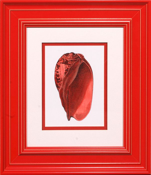 23 x 26 (15 x 18)\nPrice: D