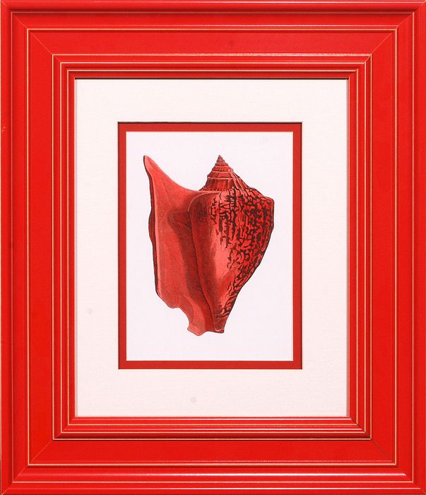 23 x 26 (15 x 18)\nPrice: D