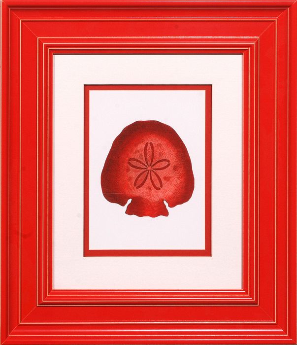23 x 26 (15 x 18)\nPrice: D