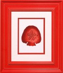 23 x 26 (15 x 18)\nPrice: D
