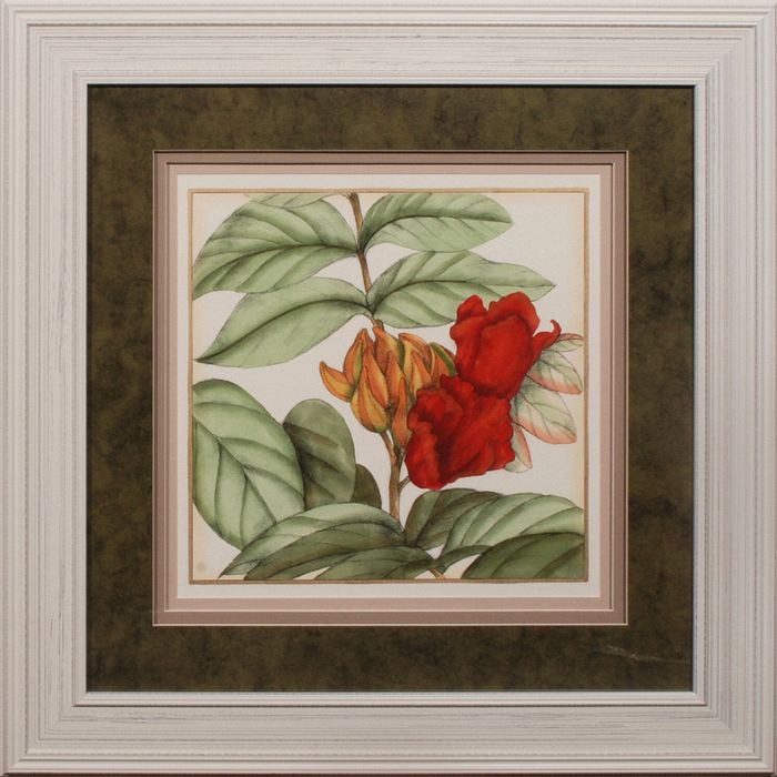 32 x 32 (24 1/4 x 24 1/2)\nPrice: K