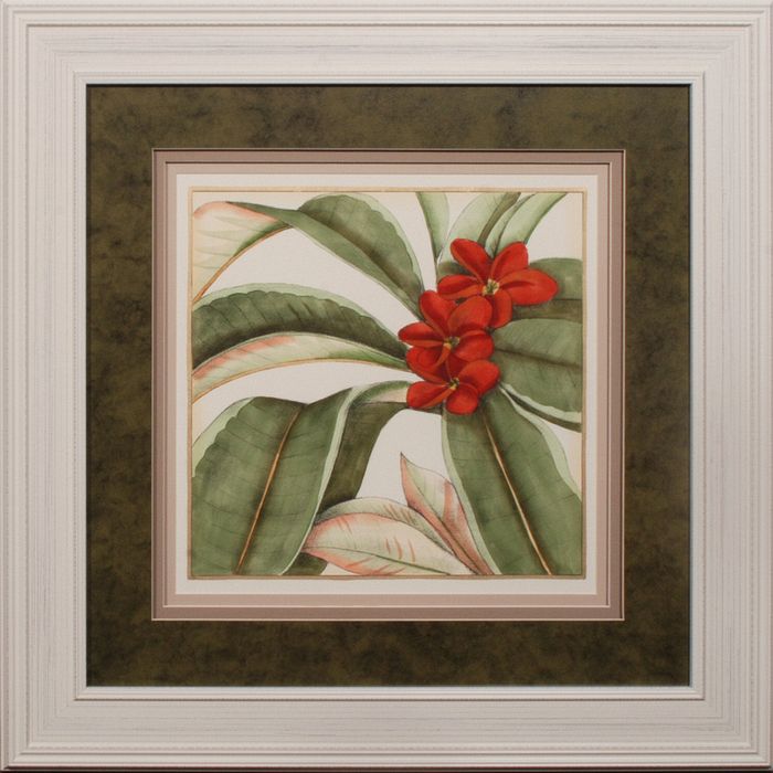 32 x 32 (24 1/4 x 24 1/2)\nPrice: K