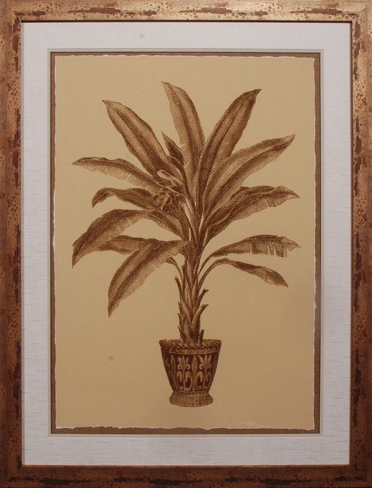 35 x 45 (31 x 40)\nPrice: L