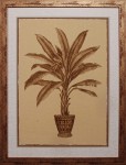 35 x 45 (31 x 40)\nPrice: L