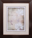 35 x 41 (28 x 34)\nPrice: N