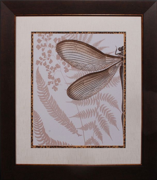 35 x 39 (28 x 32)\nPrice: I