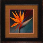 32 x 32 (24 x 24)\nPrice: G