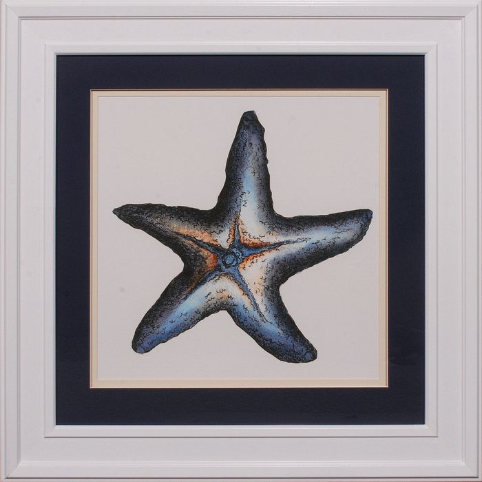 34 x 34 (26 x 26)\nPrice: I
