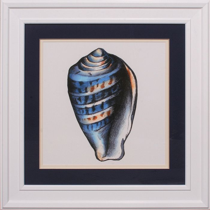 34 x 34 (26 x 26)\nPrice: I