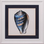 34 x 34 (26 x 26)\nPrice: I