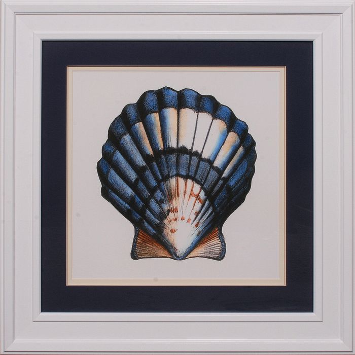 34 x 34 (26 x 26)\nPrice: I