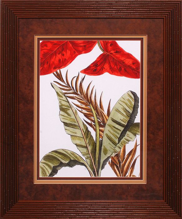 34 x 34 (26 x 32)\nPrice: I