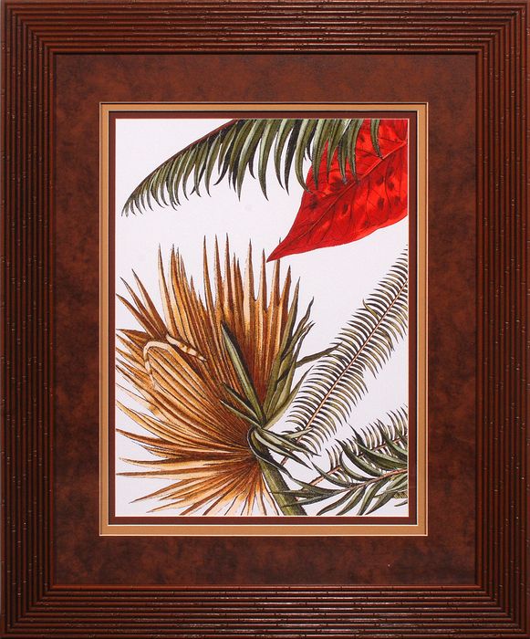 34 x 34 (26 x 32)\nPrice: I