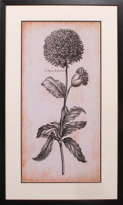 28 x 46 (26 x 44)\nPrice: I