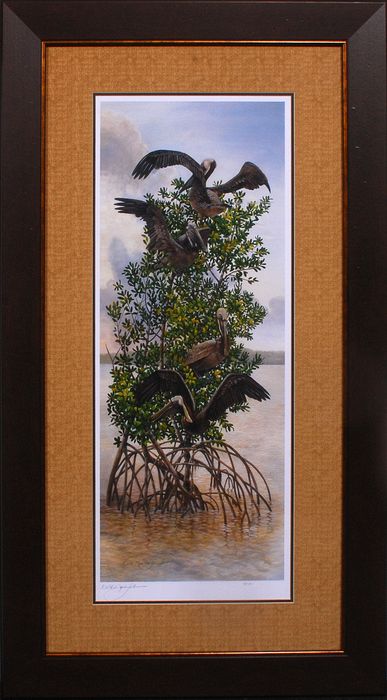 30x 53 (23 x 46)\nPrice: N