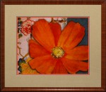 36 x 42 (32 x 38)\nPrice: J