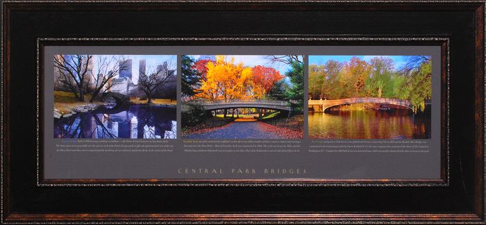 20 x 44 (12 x 36)\nPrice: G