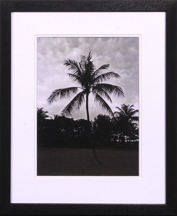 21 x 25 (18 x 22)\nPrice: D