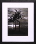 21 x 25 (18 x 22)\nPrice: D