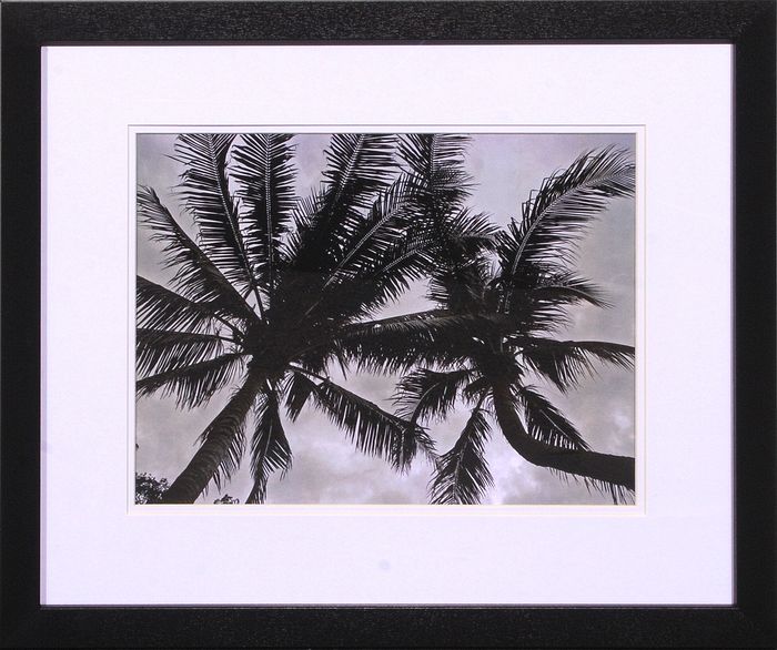 21 x 25 (18 x 22)\nPrice: D