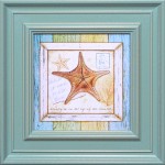 20 x 20 (12 x 12)\nPrice: B