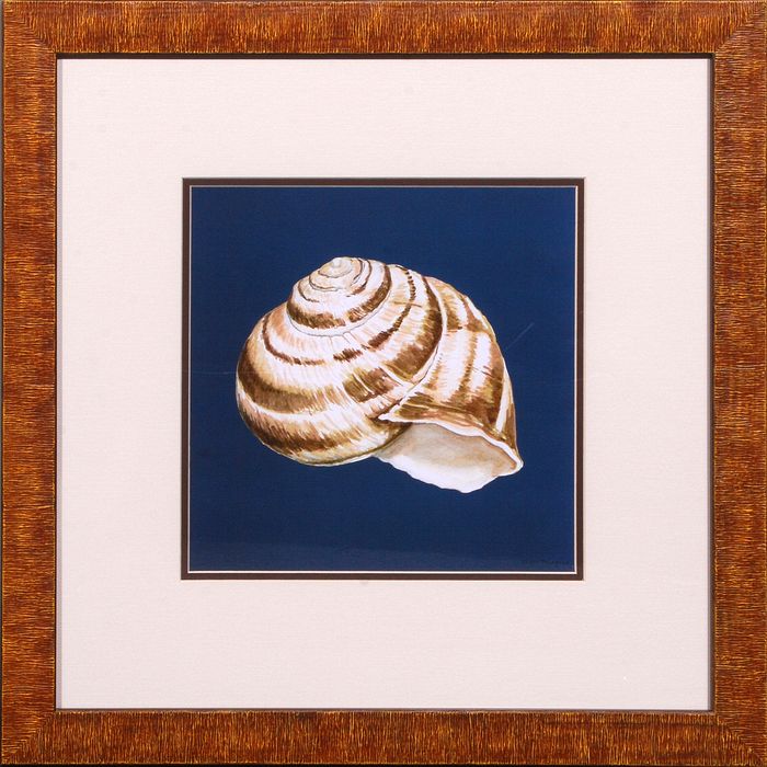 23 x 23 (20 x 20)\nPrice: D