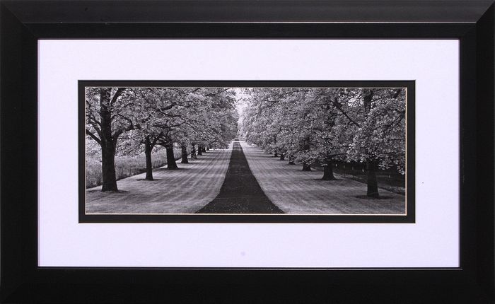 19 x 31 (14 x 26)\nPrice: D
