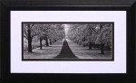 19 x 31 (14 x 26)\nPrice: D