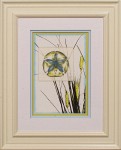 28 x 34 (20 x 26)\nPrice: G