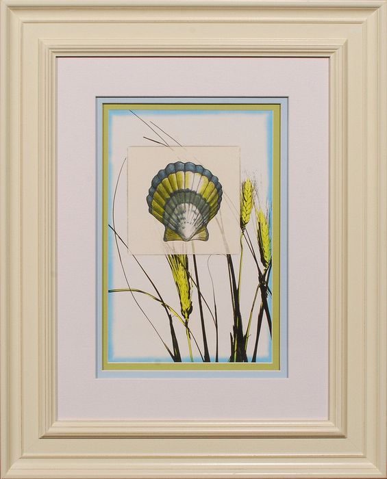 28 x 34 (20 x 26)\nPrice: G