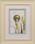 28 x 34 (20 x 26)\nPrice: G