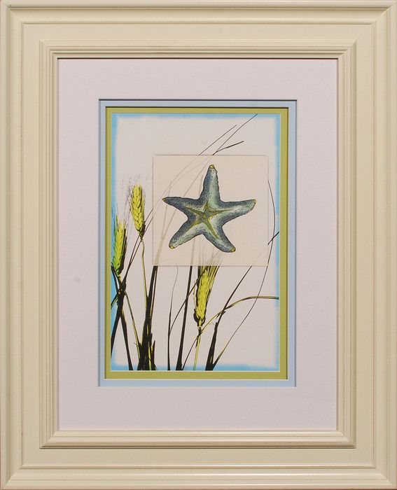 28 x 34 (20 x 26)\nPrice: G