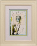 28 x 34 (20 x 26)\nPrice: G