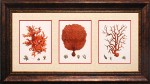 28x 53 (19 1/2 x 44 1/4)\nPrice: K