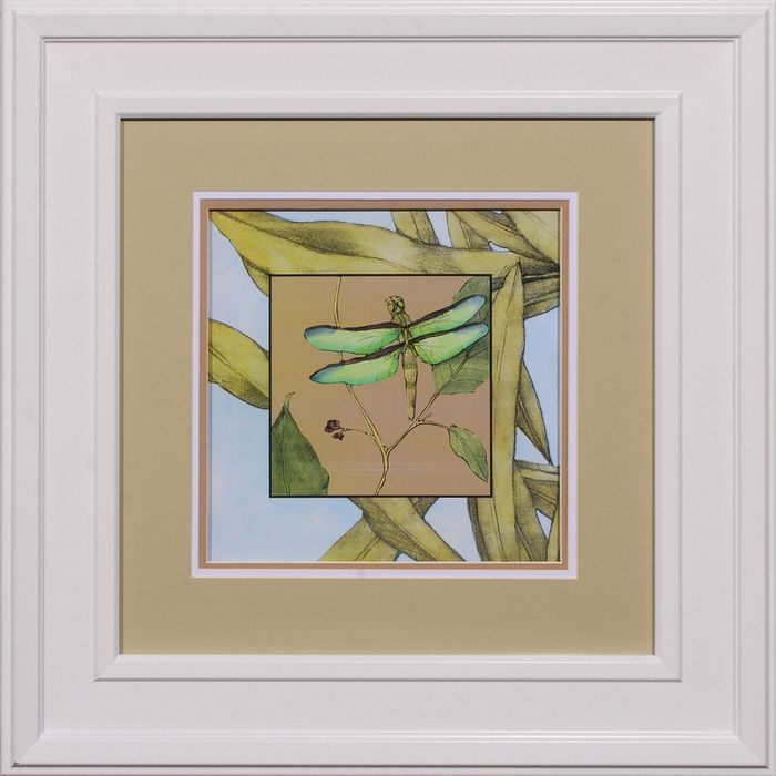25 x 25 (18x 18)\nPrice: E