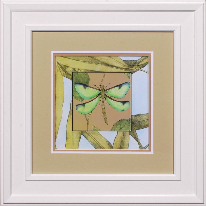 25 x 25 (18x 18)\nPrice: E