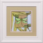 25 x 25 (18x 18)\nPrice: E