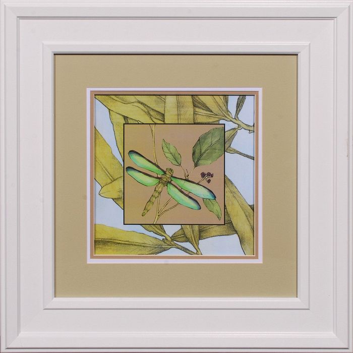 25 x 25 (18x 18)\nPrice: E
