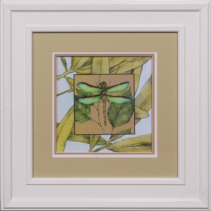 25 x 25 (18x 18)\nPrice: E