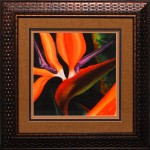 31 x 31 (24 x 24)\nPrice: