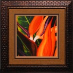 31 x 31 (24 x 24)\nPrice: