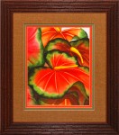 30 x 34 (24 x 28)\nPrice: H
