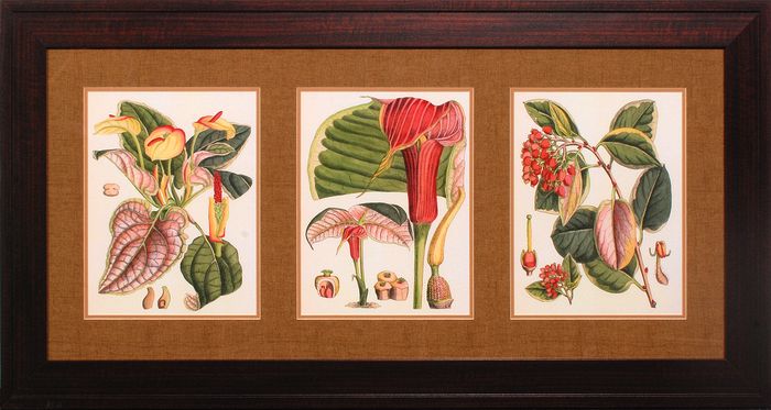 26 x 50 (19 1/2 x 44 1/4)\nPrice: K