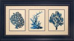 28 x 52 (19 1/2 x 44 1/4)\nPrice: K