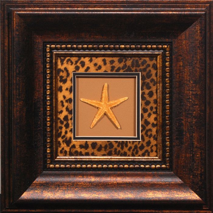 16 x 16 (8 x 8)\nPrice: AZ
