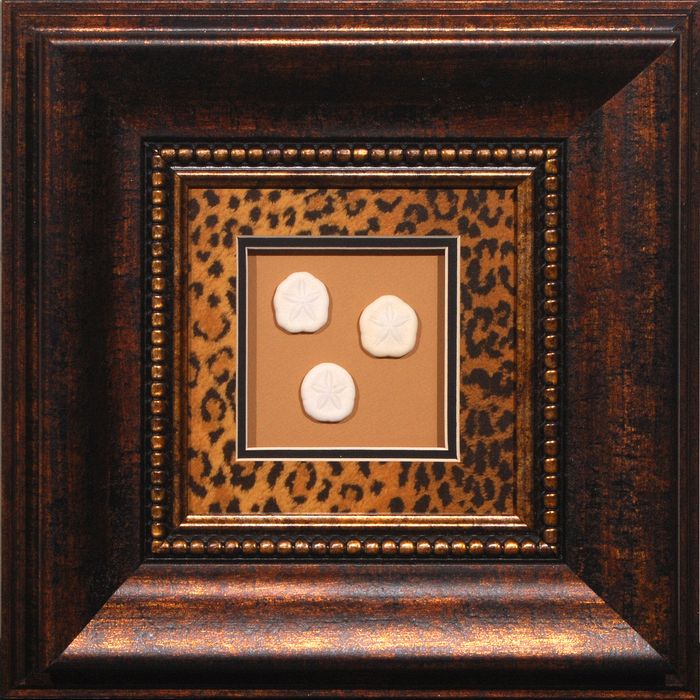 16 x 16 (8 x 8)\nPrice: AZ