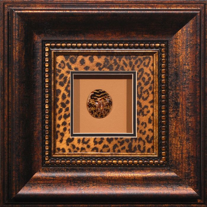 16 x 16 (8 x 8)\nPrice: AZ