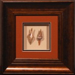 14 x 14 (8 x 8)\nPrice: