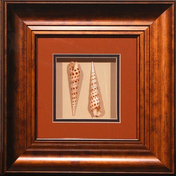14 x 14 (8 x 8)\nPrice: