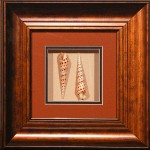 14 x 14 (8 x 8)\nPrice: